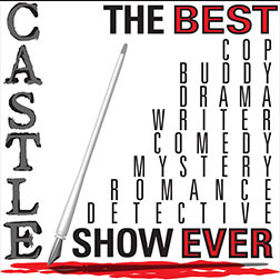 Home Decorating Ideas Interior Design Hgtv Tv Show Castle Nathan Fillion Stana Katic Poster Measures 20 X 30 Inches Home Decor Wall